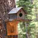 Birdhouse