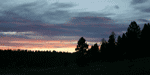 Cedar Mountain
