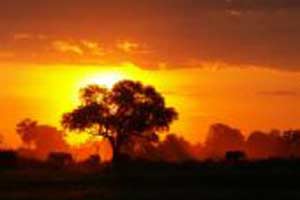 Africa