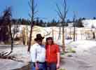 Yellowstone National Park